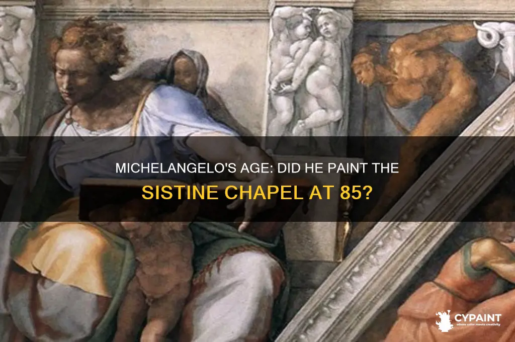 was micheangelo 85 when he painted the sistinechapel