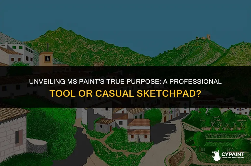 was ms paint supposed to be a professional drawing program