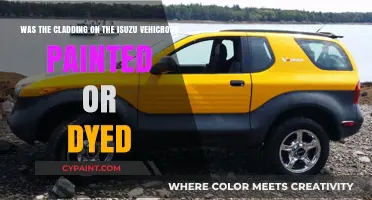 Exploring the Aesthetic Options: Isuzu Vehicross Cladding - Painted or Dyed?