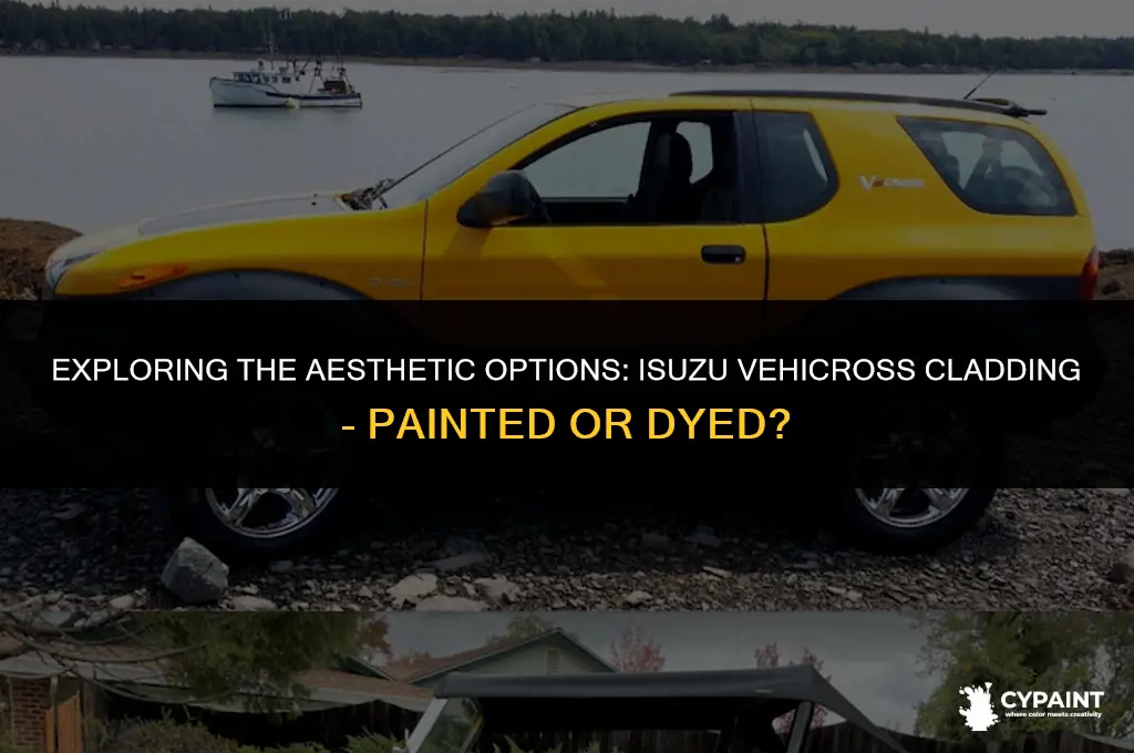 was the cladding on the isuzu vehicross painted or dyed