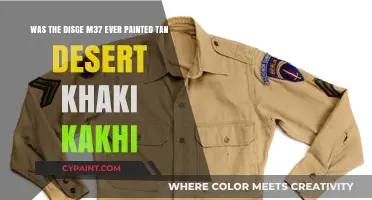 Decoding the Desert Khaki Myth: M37 Disguise Unveiled