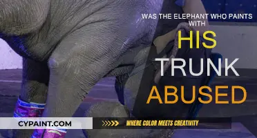 The Elephant's Art: Abused or Talented?