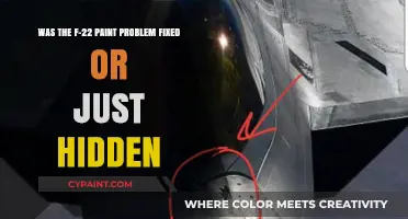 Unveiling the Truth: F-22 Paint Issue - Resolved or Concealed?