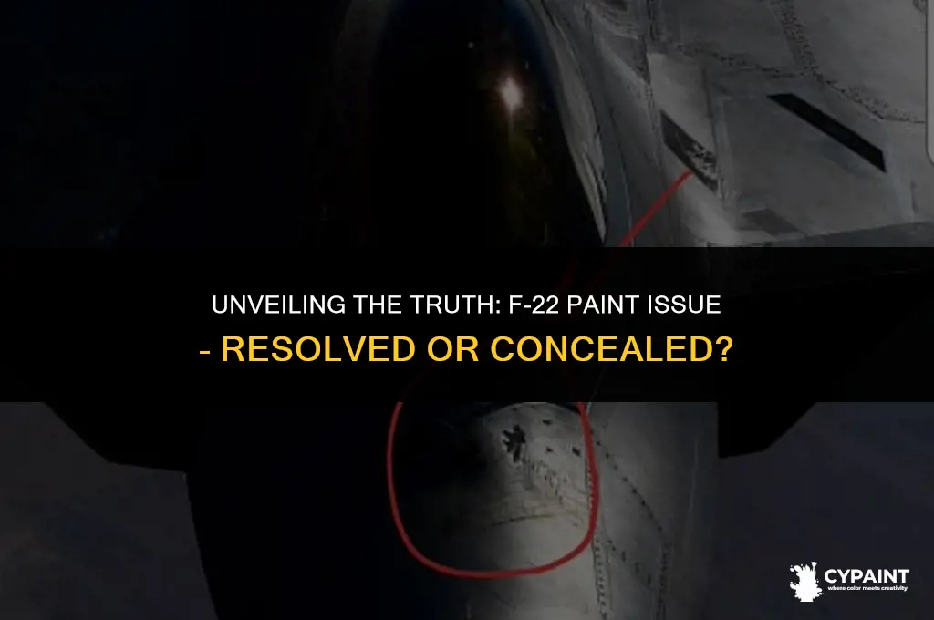 was the f-22 paint problem fixed or just hidden