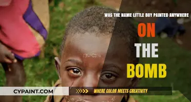 Was 'Little Boy' Painted Anywhere on the Bomb?