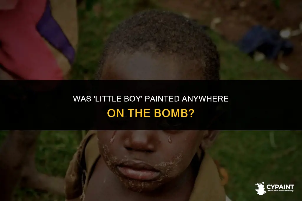 was the name little boy painted anywhere on the bomb