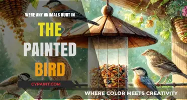 The Painted Bird: Animal Welfare Concerns and Ethical Questions