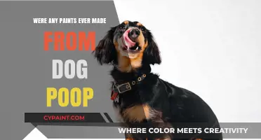 Unusual Art Materials: Exploring the Myth of Dog Poop Paint