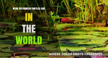 Exploring the Global Habitats of Painted Turtles: Where They Thrive