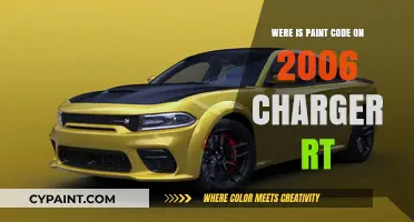 Where to Find the Paint Code on a 2006 Charger RT