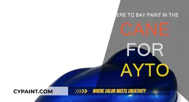 Best Places to Buy Car Paint in Canada
