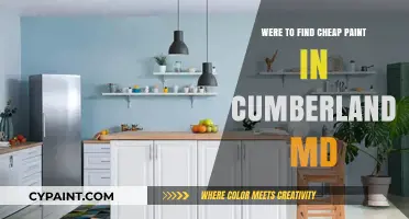 Budget-Friendly Paint Options in Cumberland, MD: Your Ultimate Guide