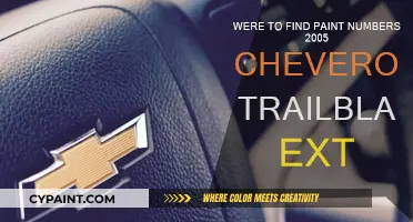 Where to Find Paint Codes for Your 2005 Trailblazer
