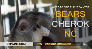 Exploring Cherokee NC: Discovering the 19 Painted Bears