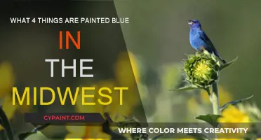 Exploring the Midwest: Four Blue Wonders