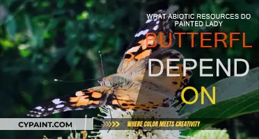 Painted Ladies: The Abiotic Resources They Need to Survive
