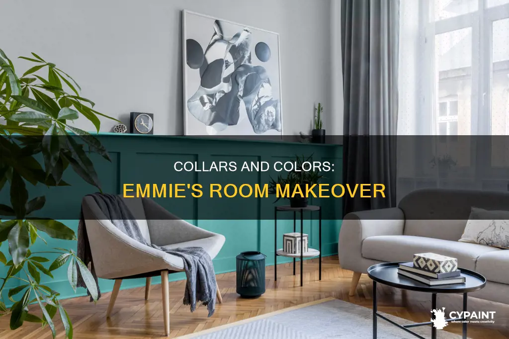 what accent collars go with the paint emmies room