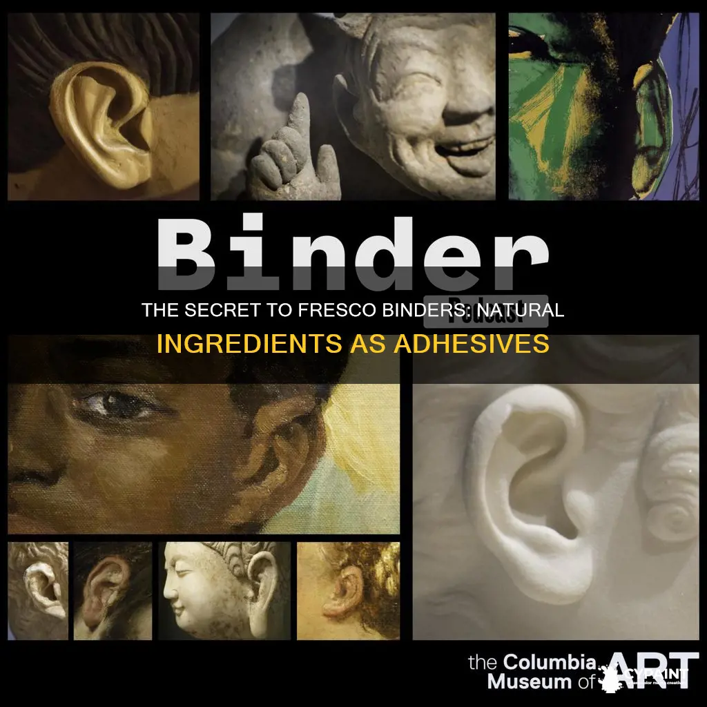 what acts as the binder in a fresco painting