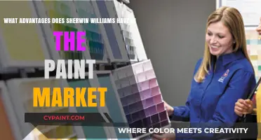 Sherwin-Williams' Competitive Edge: Dominating the Paint Market with Innovation and Service