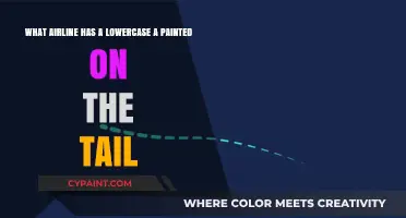 Decoding Airline Logos: The Mystery of the Lowercase 'a' on the Tail