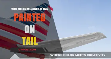 Which Airline Features the American Flag on Its Tail?