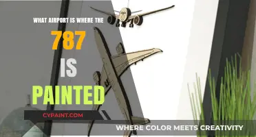 Where the 787 Dreamliner Gets Its Colors: The Airport Revealed