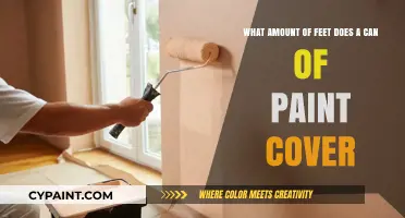 Unleashing Creativity: Estimating Paint Coverage for Your Next Project
