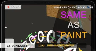 Discover the Paint Equivalent on Your MacBook