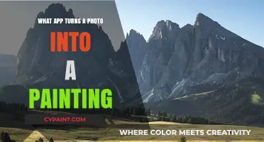 Transform Photos into Art: Best Apps for Painting-Style Images
