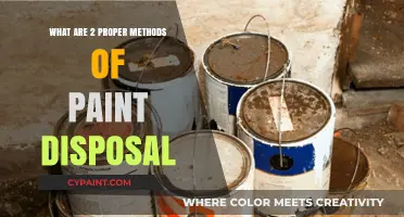 Eco-Friendly Paint Disposal: Two Proper Methods for Safe Removal