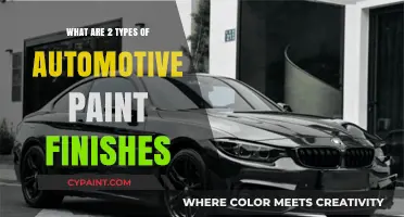 Exploring Glossy and Matte: Two Popular Automotive Paint Finishes