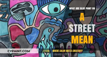 Understanding Blue Street Paint: Meanings, Uses, and Importance Explained