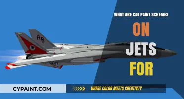 Understanding CAG Paint Schemes: Purpose and Significance on Military Jets
