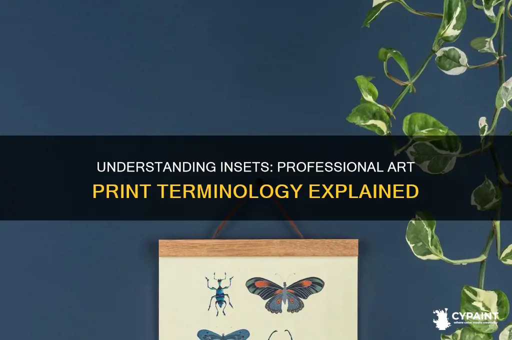 what are insets called on professional paintings prints