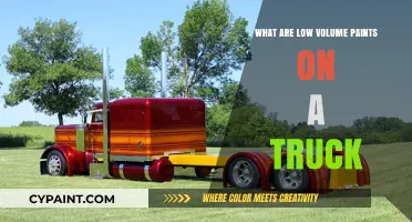 Understanding Low Volume Paints: A Guide for Truck Enthusiasts