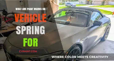 Understanding the Purpose of Paint Marks on Vehicle Springs