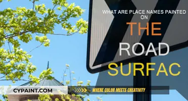 Road Surface Place Names: Why and What?