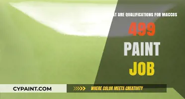 Qualifications for MacCos 499 Paint Job: What You Need