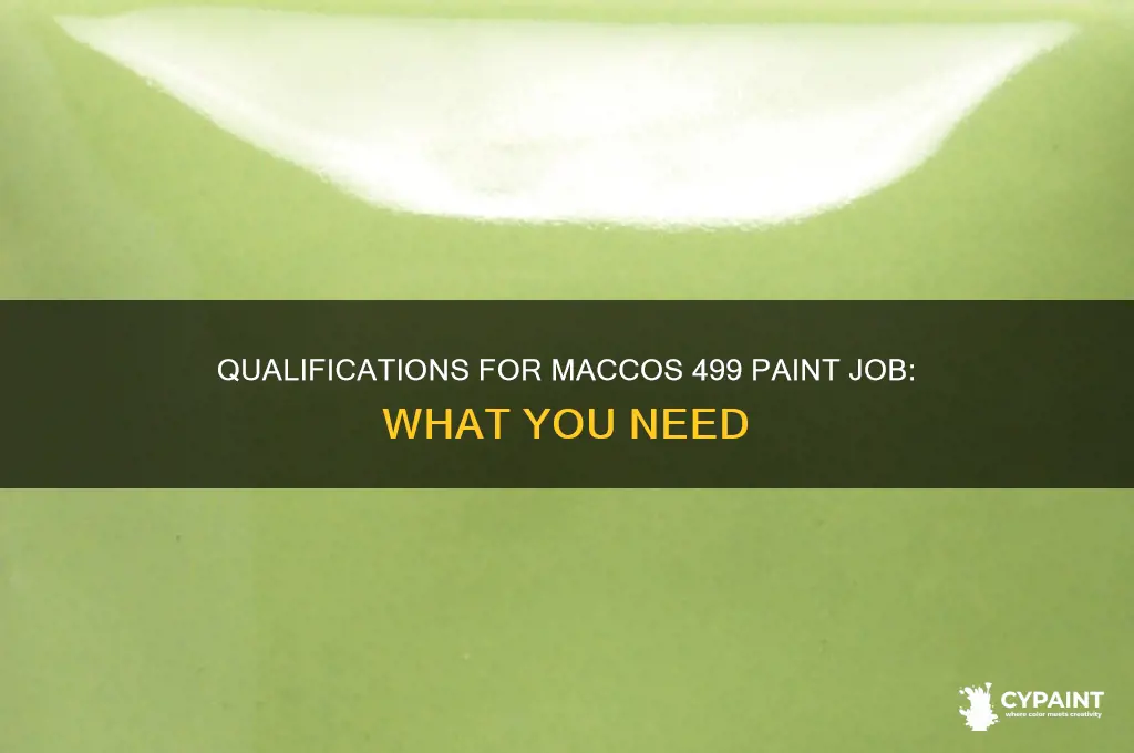 Qualifications For Maccos 499 Paint Job What You Need CyPaint qualifications-for-maccos-499-paint-job-what-you-need-cypaint
