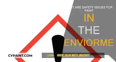 Environmental Impact: Paint Safety Concerns
