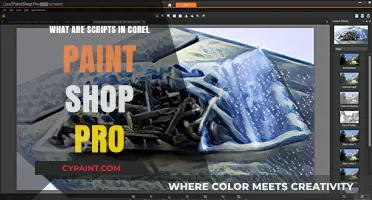 Understanding Corel PaintShop Pro Scripts: Enhance Your Photo Editing Workflow
