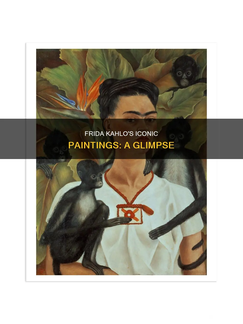 what are some of frida