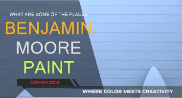Explore the Best Places for Benjamin Moore Paint