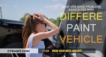 Vehicle Paint Problems: Solutions for a Flawless Finish
