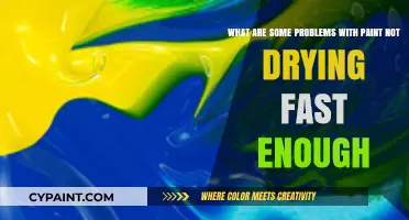 Slow-Drying Paint: Troubleshooting Tips for a Speedy Finish