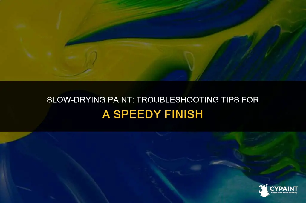what are some problems with paint not drying fast enough
