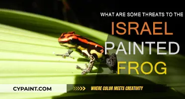 Israel's Painted Frogs: Facing a Future of Threats