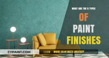 Exploring Different Paint Finishes: 5 Popular Types and Their Uses