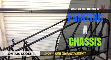 Painting Your Chassis: Enhancing Durability, Aesthetics, and Longevity Benefits