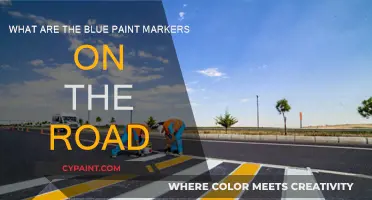 Road Markings: Blue Paint Marker Mystery Explained